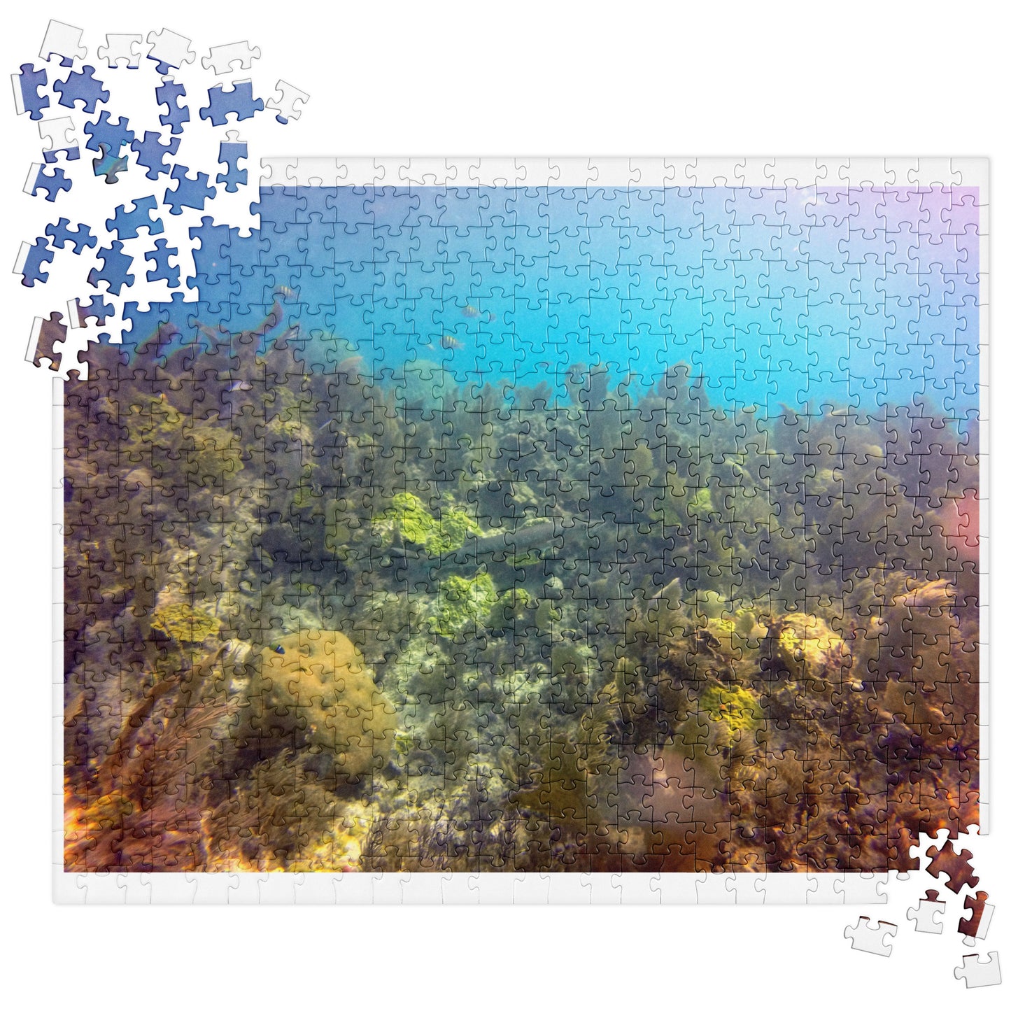 Jigsaw puzzle - Barracuda