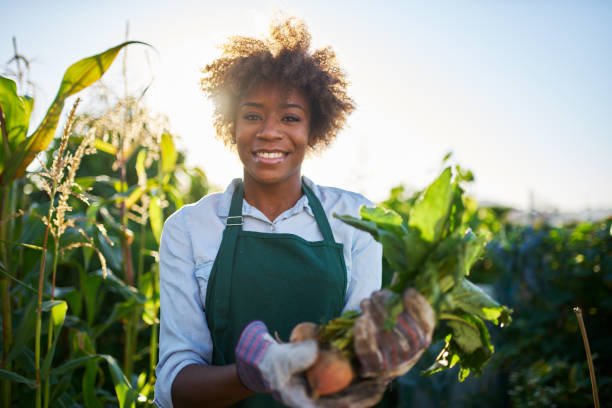 Addressing Agricultural Challenges in the Caribbean