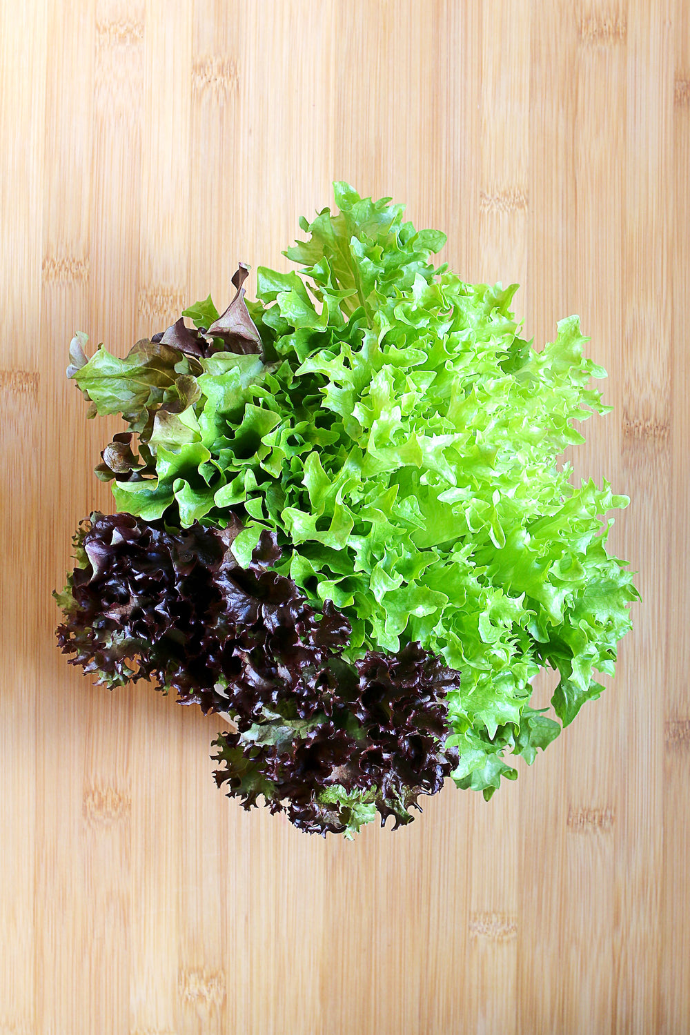 Farm – Good Luck Gardens